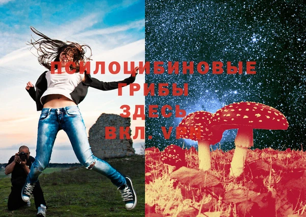 мет Аркадак