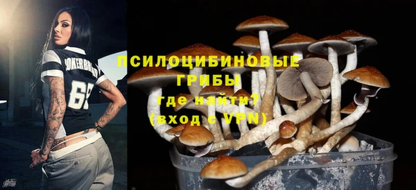 метадон Армянск