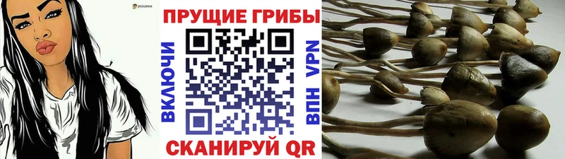 Галлюциногенные грибы мухоморы  как найти закладки  Оханск 