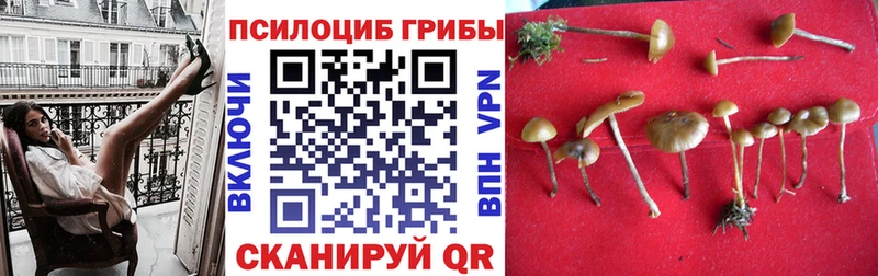 Галлюциногенные грибы Magic Shrooms Оханск